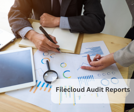 Filecloud Audit Reports